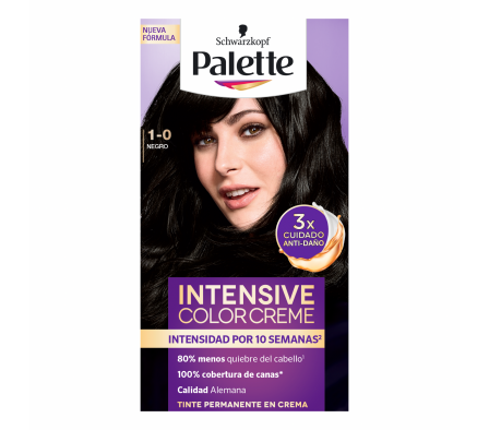 PALETTE CC SEMIKIT 1-0